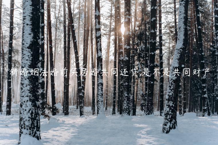 »ǰ򷿻鹲ͬ,ǲǹͬƲ