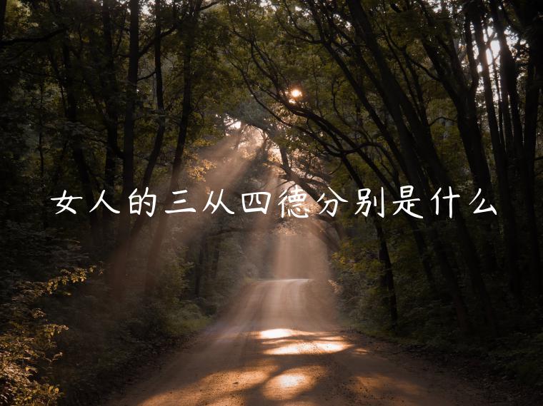 Ů˵ĵ·ֱʲô