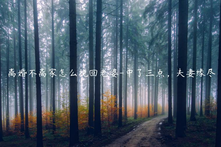 鲻ô-㣬Ե