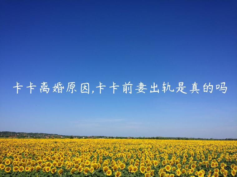 ԭ,ǰ޳